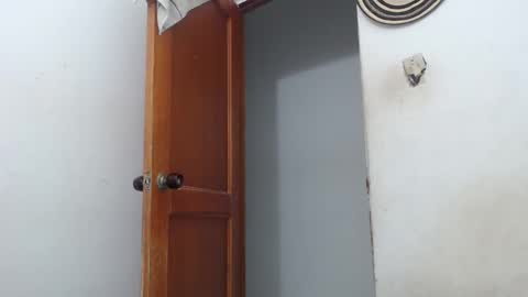 sirajones online show from March 2, 2025, 2:30 am