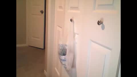 Snapshot of sirenofsin2002 chatting on January 17, 2025, 11:40 pm sirenofsin2002 online show from January 17, 2025, 11:40 pm