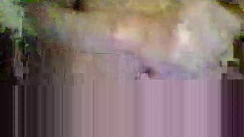 Snapshot of sisinyedz0000 chatting on February 4, 2026, 5:41 pm sisinyedz0000 online show from February 4, 2026, 5:41 pm
