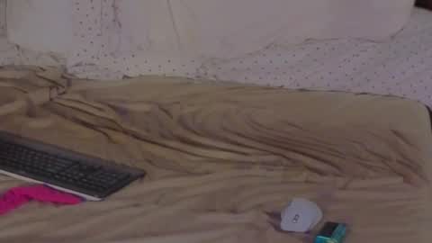 Snapshot of sissydensib chatting on July 1, 2026, 8:05 am Sissy Submissive online show from July 1, 2026, 8:05 am