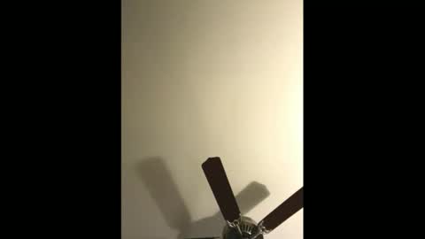 sissynovaholes online show from January 4, 2025, 2:56 am