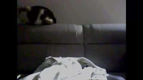 miguel online show from December 2, 2024, 4:09 am