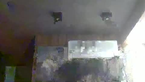 skinnykittencam online show from January 17, 2026, 3:44 am