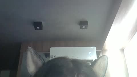 Snapshot of skinnykittencam chatting on April 9, 2026, 1:16 am skinnykittencam online show from April 9, 2026, 1:16 am