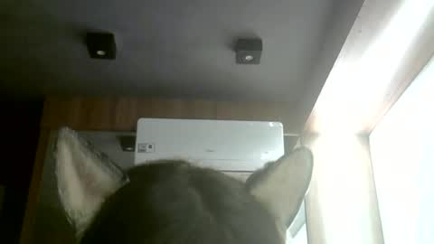 Snapshot of skinnykittencam chatting on June 22, 2026, 3:25 am skinnykittencam online show from June 22, 2026, 3:25 am
