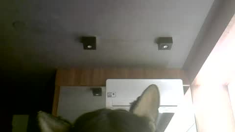 Snapshot of skinnykittencam chatting on June 30, 2026, 12:11 am skinnykittencam online show from June 30, 2026, 12:11 am