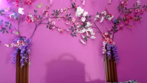 Snapshot of skinnysofia18 chatting on June 4, 2026, 2:01 pm sofia online show from June 4, 2026, 2:01 pm