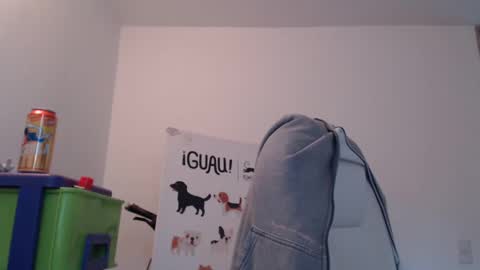 Snapshot of skyler1195 chatting on February 17, 2025, 9:08 pm Skyler online show from February 17, 2025, 9:08 pm