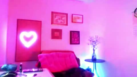 Snapshot of skylerwithe007 chatting on February 21, 2026, 12:55 am skyler online show from February 21, 2026, 12:55 am