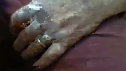 Snapshot of skypylot chatting on February 4, 2026, 4:13 pm ResqPylot2 online show from February 4, 2026, 4:13 pm