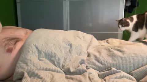 slice5 online show from April 4, 2026, 8:34 am