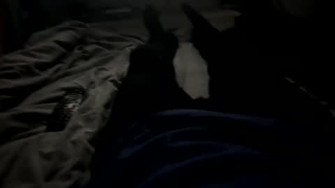 Snapshot of slimboy6900 chatting on February 23, 2026, 1:36 am slimboy6900 online show from February 23, 2026, 1:36 am