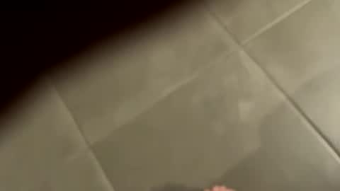 Snapshot of slimlord90 chatting on January 25, 2025, 1:08 pm slimlord90 online show from January 25, 2025, 1:08 pm