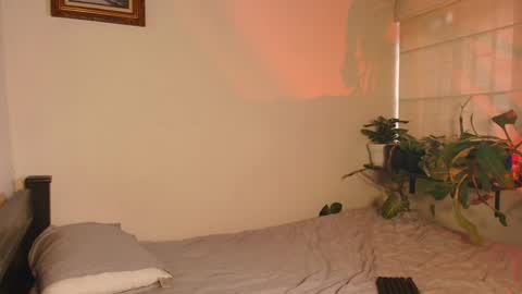 slowburnmystic online show from February 26, 2026, 10:31 pm