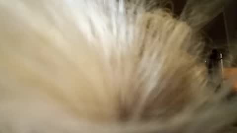Fun time online show from April 4, 2026, 11:51 am