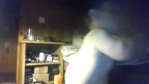 Snapshot of smalldream666 chatting on October 9, 2025, 6:28 pm PIST PIST online show from October 9, 2025, 6:28 pm