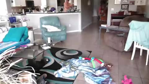 Snapshot of smallpenisbigtongue chatting on March 27, 2026, 1:33 pm Daddy online show from March 27, 2026, 1:33 pm