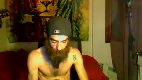 willy online show from January 12, 2025, 6:39 am