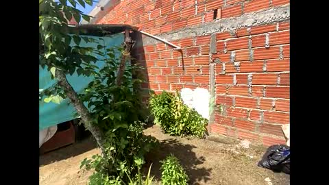 Snapshot of smith_oliver chatting on December 8, 2024, 5:01 pm Smith online show from December 8, 2024, 5:01 pm