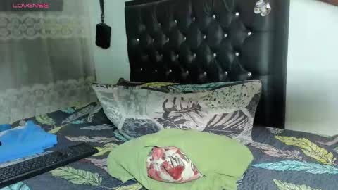 Snapshot of smith_oliver chatting on December 30, 2024, 11:37 am Smith online show from December 30, 2024, 11:37 am