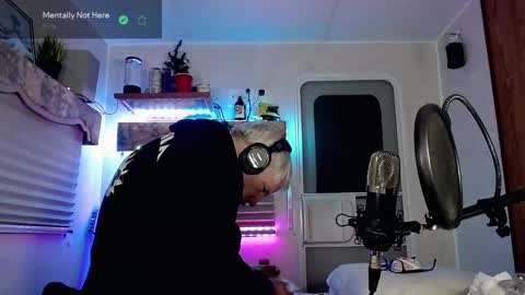 Snapshot of snarfle chatting on March 4, 2025, 11:19 am Viiscount Snarfle Von Snarfenberg online show from March 4, 2025, 11:19 am