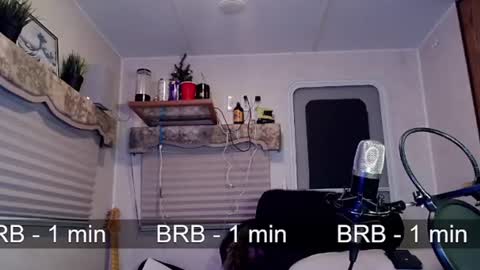 Snapshot of snarfle chatting on March 6, 2025, 11:47 am Viiscount Snarfle Von Snarfenberg online show from March 6, 2025, 11:47 am