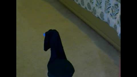 snizniz online show from December 2, 2024, 4:09 pm