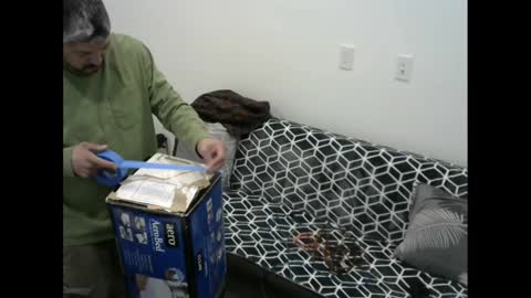 snizniz online show from February 11, 2025, 6:30 am