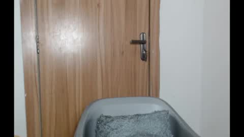 Snapshot of snowdrop5 chatting on January 31, 2025, 11:03 pm snowdrop5 online show from January 31, 2025, 11:03 pm