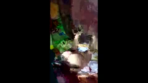 snqhephncxpu online show from April 14, 2026, 3:01 am