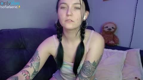 Snapshot of sofiafaerie chatting on December 2, 2024, 10:56 pm sofiafaerie online show from December 2, 2024, 10:56 pm