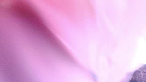 Sofiamillerrs online show from January 23, 2025, 9:18 pm