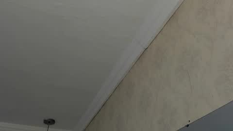 Snapshot of sofianesvat1 chatting on February 26, 2025, 4:47 am Sofi - next broadcast today 1030pm Colombia time online show from February 26, 2025, 4:47 am