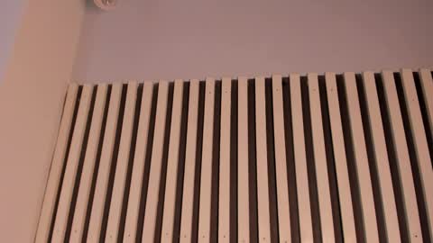 Sofie online show from November 11, 2025, 2:39 pm