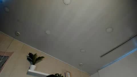 Snapshot of sofii_wild chatting on July 11, 2026, 12:19 pm sofii_wild online show from July 11, 2026, 12:19 pm