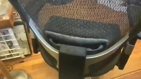 soflastiffyboy69 online show from May 17, 2026, 4:58 pm