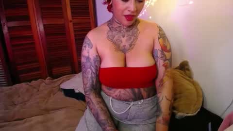 softsin1 online show from February 24, 2026, 4:10 am