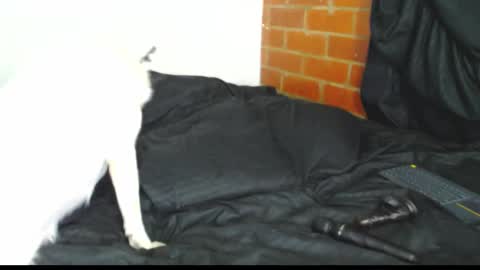  Sofy  online show from February 21, 2026, 3:07 am