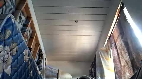 Snapshot of sohan730903 chatting on October 1, 2025, 7:20 pm sohan730903 online show from October 1, 2025, 7:20 pm