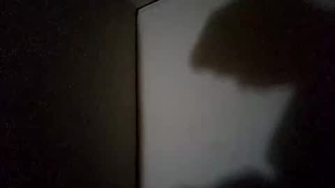 Snapshot of sohan730903 chatting on November 18, 2025, 2:10 pm sohan730903 online show from November 18, 2025, 2:10 pm