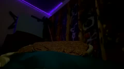 Snapshot of sohan730903 chatting on February 15, 2026, 7:51 am sohan730903 online show from February 15, 2026, 7:51 am