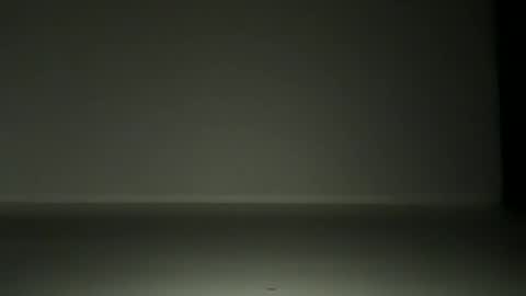 L4 online show from November 12, 2025, 7:03 pm