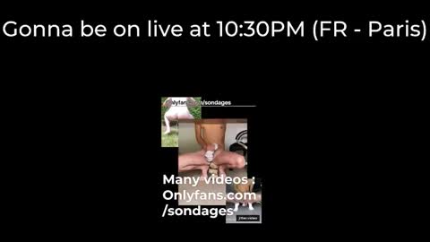Sondages online show from March 14, 2026, 9:31 pm