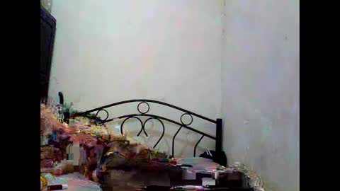 Snapshot of sophialaurel chatting on October 1, 2025, 6:52 am sophialaurel online show from October 1, 2025, 6:52 am