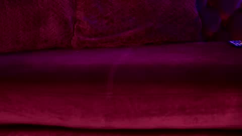 Snapshot of sophiapotts chatting on February 17, 2026, 2:41 am Sophie online show from February 17, 2026, 2:41 am