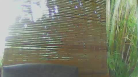 Snapshot of soveryhandsome chatting on January 18, 2025, 11:00 pm soveryhandsome online show from January 18, 2025, 11:00 pm