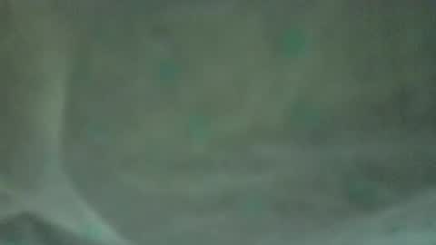 soycule2005 online show from April 10, 2026, 10:36 pm