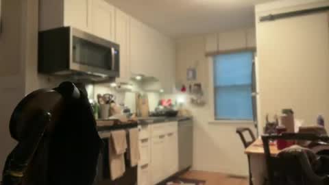 Spacecow Whore online show from July 28, 2026, 7:39 pm