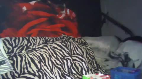 Snapshot of splashh_queen317 chatting on September 26, 2025, 8:13 pm Daddy His Splash Queen online show from September 26, 2025, 8:13 pm