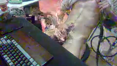 SPOKO online show from February 22, 2026, 1:31 pm